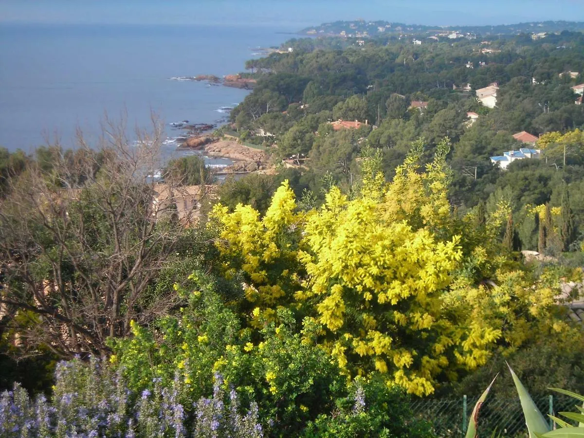 Duplex, Vue Panoramique Sur La Mediterranee, Piscine, Garage Saint-Raphaël 0*,